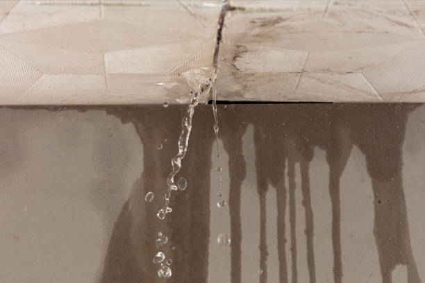 Professional Water Damage Repair technician working in Chatfield, TX